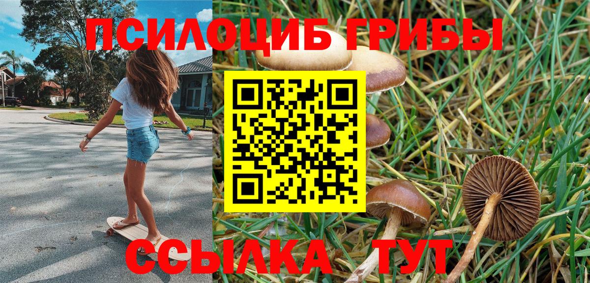 Псилоцибиновые грибы MAGIC MUSHROOMS  Галлюциногенные грибы мухоморы  Вход с VPN  Новокуйбышевск 