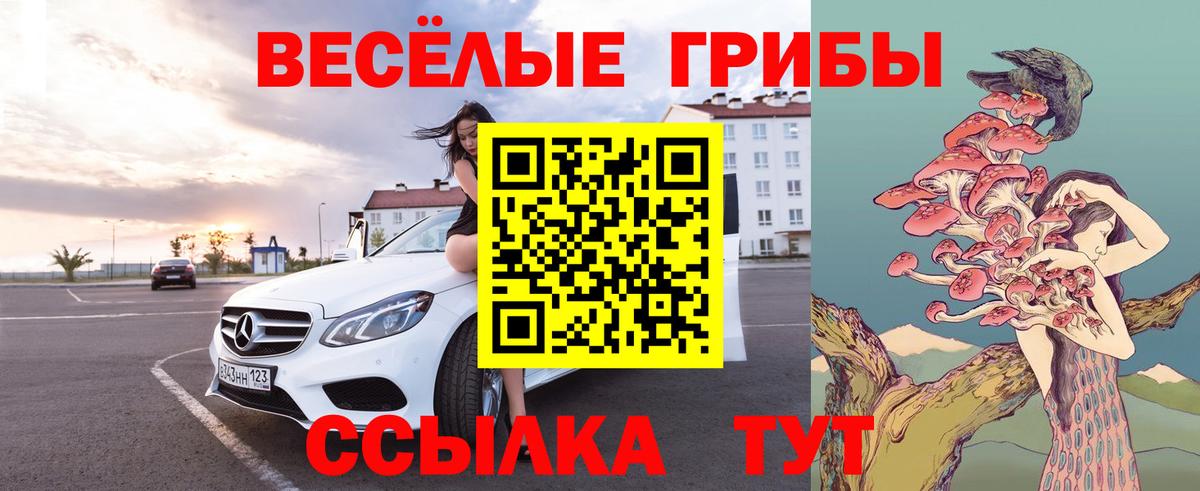 Галлюциногенные грибы GOLDEN TEACHER Новокуйбышевск